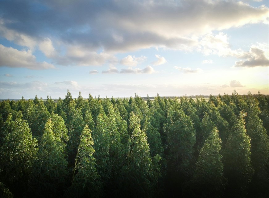 Bestil papirvarer med en certificering